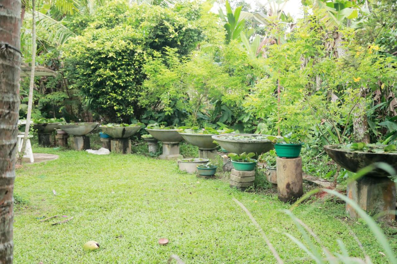 Kirala Villa Mihiripenne ภายนอก รูปภาพ