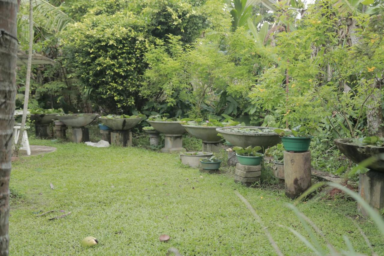 Kirala Villa Mihiripenne ภายนอก รูปภาพ